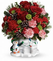 Send a Hug Christmas Cutie by Teleflora from Krupp Florist, your local Belleville flower shop